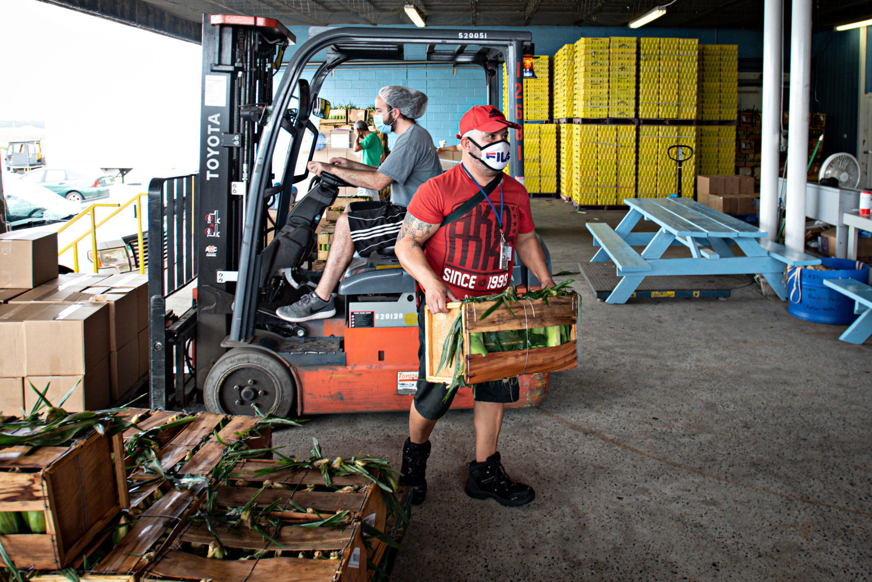 080120_nws_fooddrive